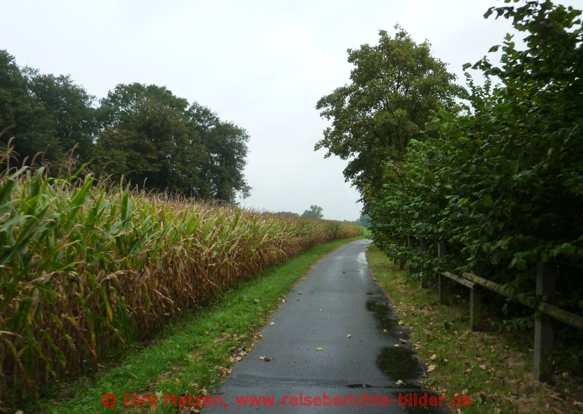 Vechtetal-Route, Maisfeld