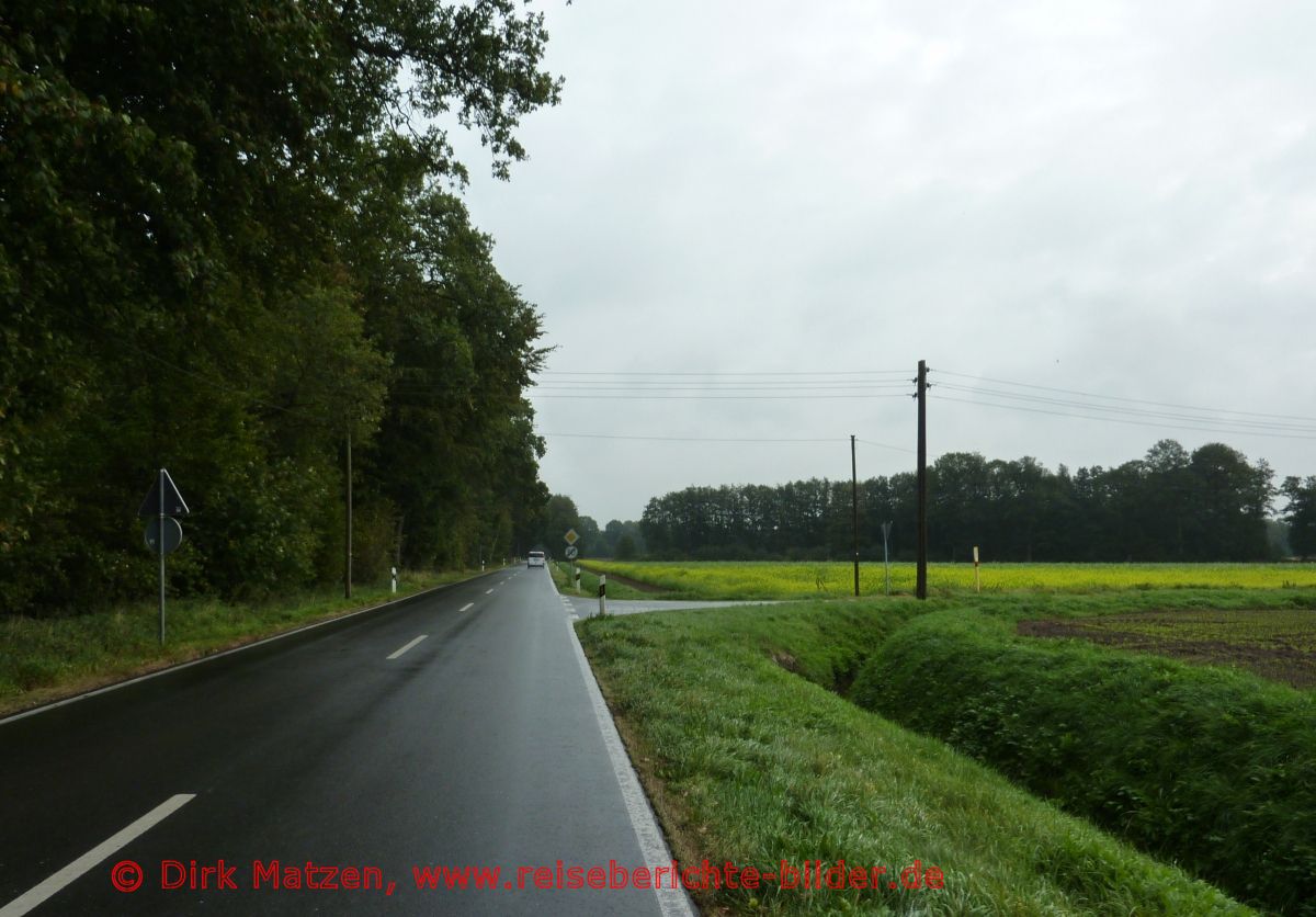 Welbergen