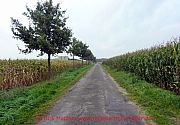 07-vechtetal-route-maisfelder