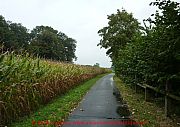 14-vechtetal-route-am-maisfeld