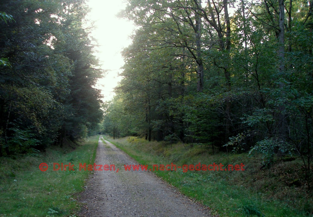 Grenzroute, Waldweg bei Sderlgum
