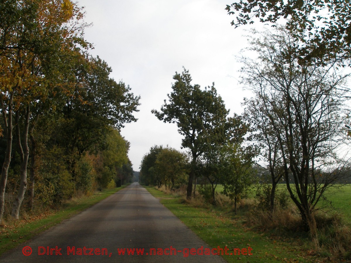 Grenzroute, Strae bei Rens