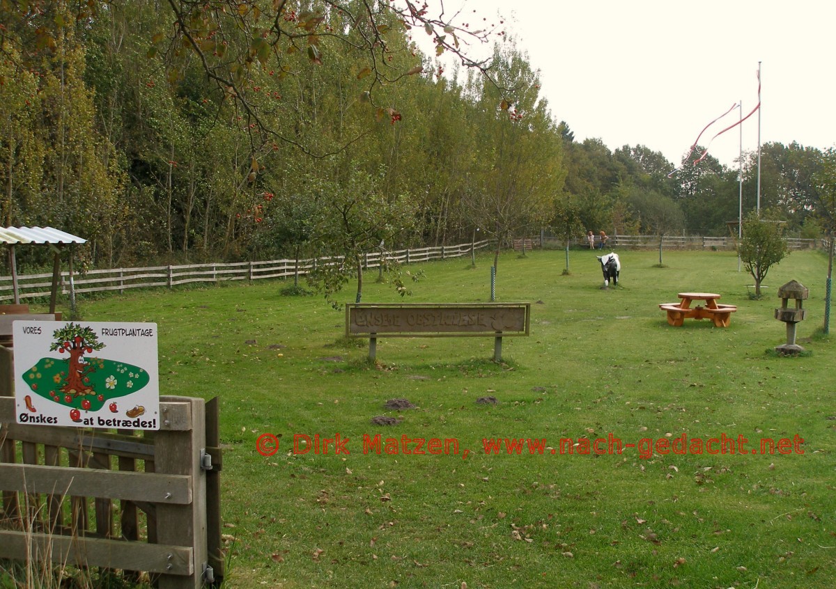 Grenzroute, Offene Obstwiese bei Jardelund