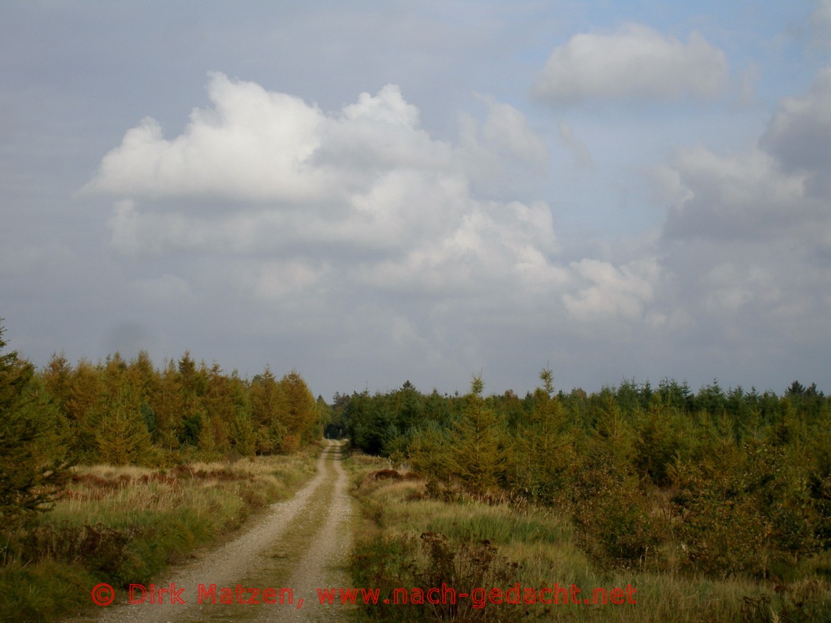 Grenzroute, In der Froeslev-Plantage