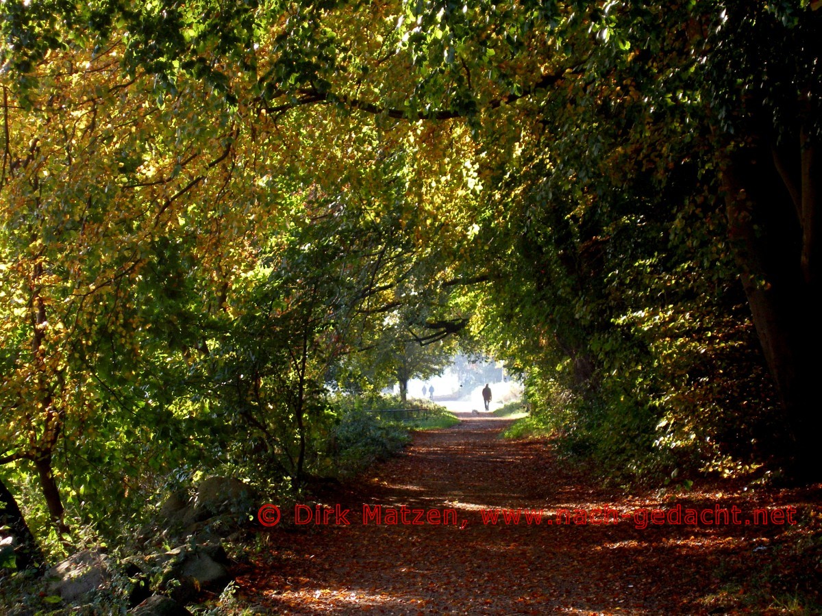 Grenzroute, Radweg bei Flensburg