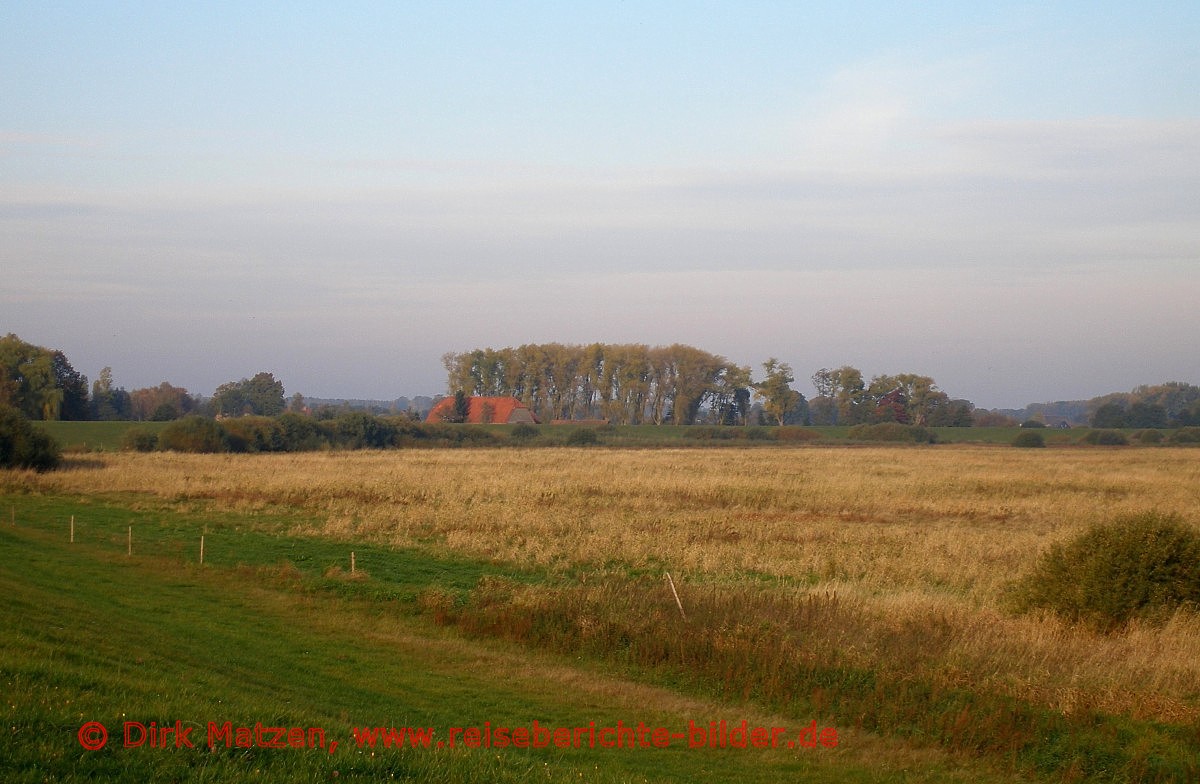 Elbe Deichvorland