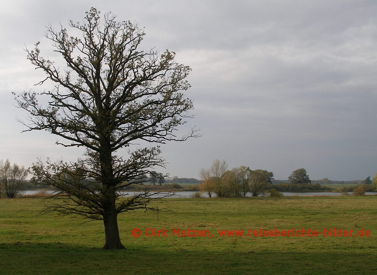 Elbe bei Ltkenwisch