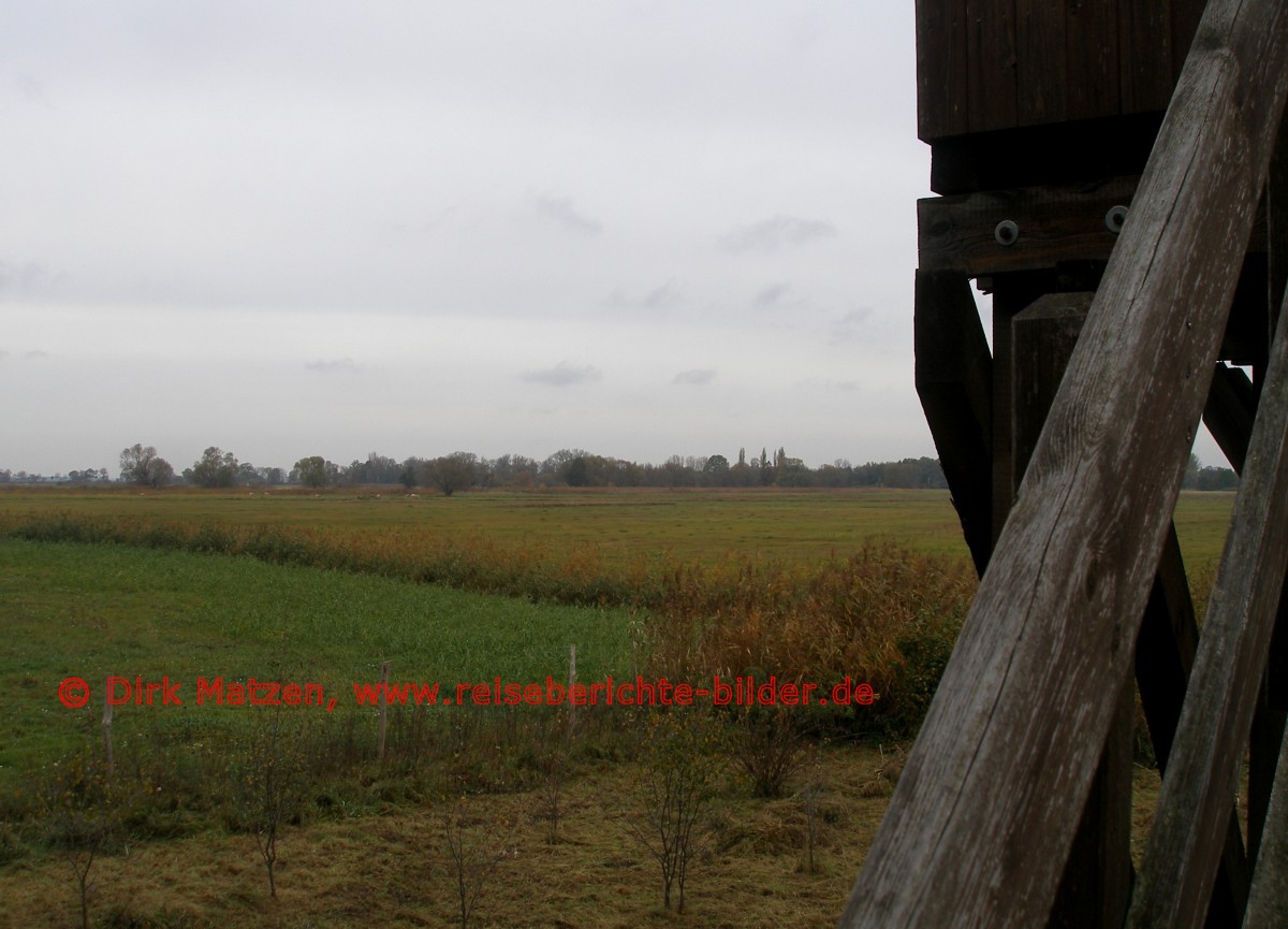 Grtz, Untere Havelniederung
