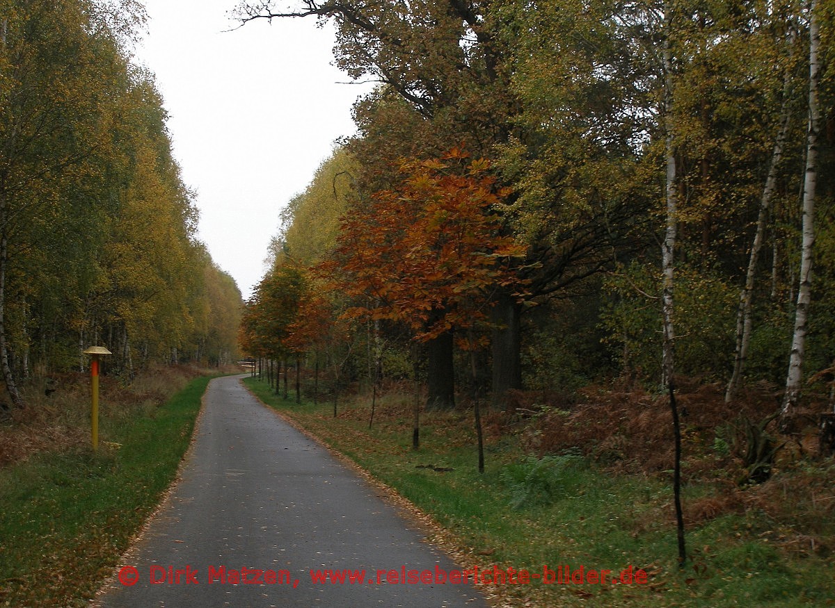 Herbst am Havelland-Radweg