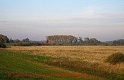 elbe-deichvorland