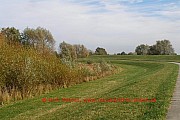 elberadweg-bei-strachau