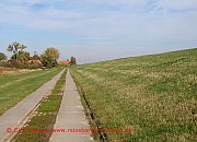 elberadweg-wilkenstorf