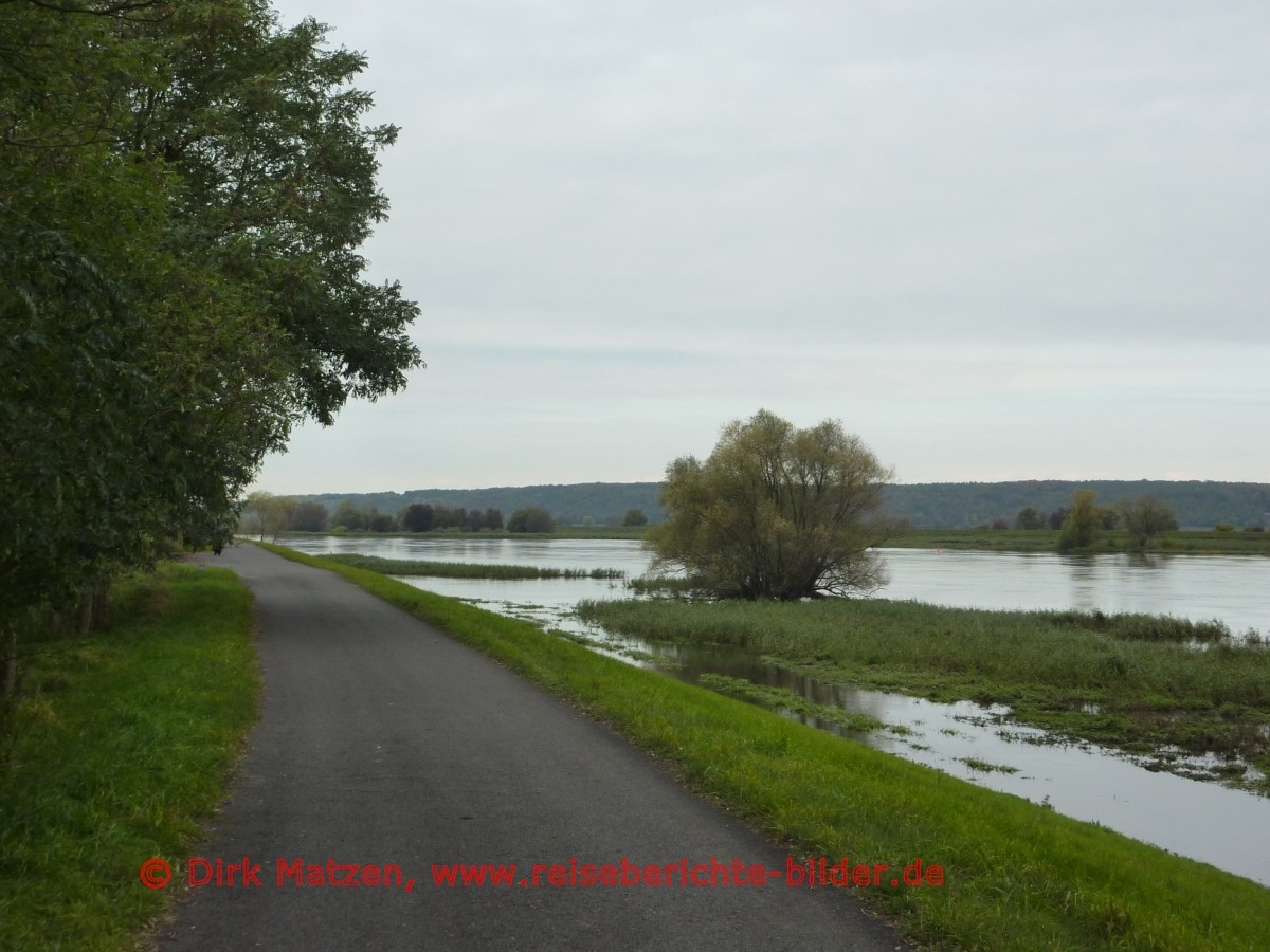 Oder-Neie-Radweg, Oder bei Hohensaaten