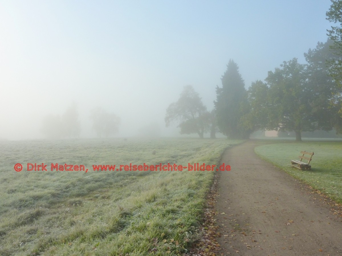 Criewen, Morgennebel im Lenn-Park