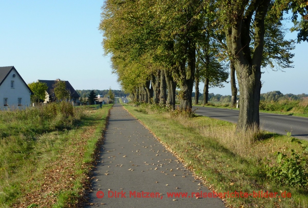 Oder-Neiße-Radweg, bei Tantow