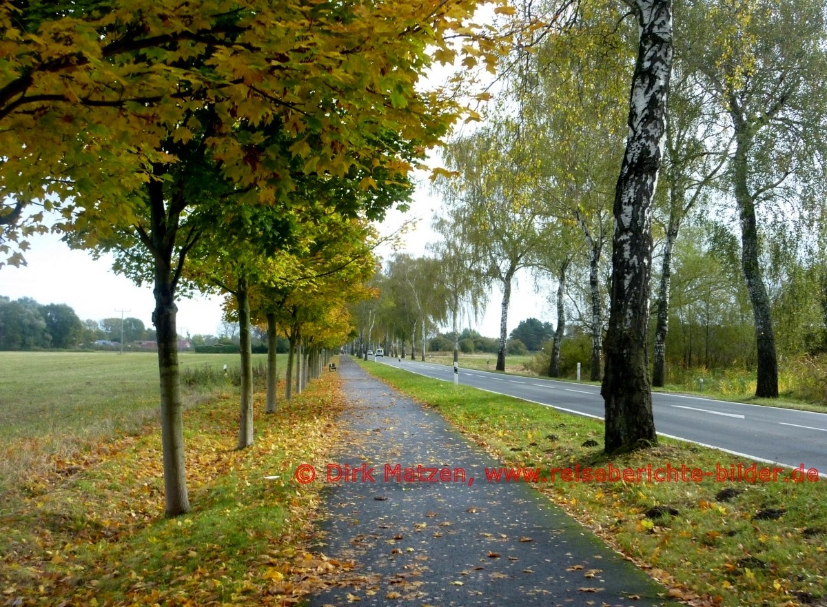 Oder-Neie-Radweg, bei Bellin