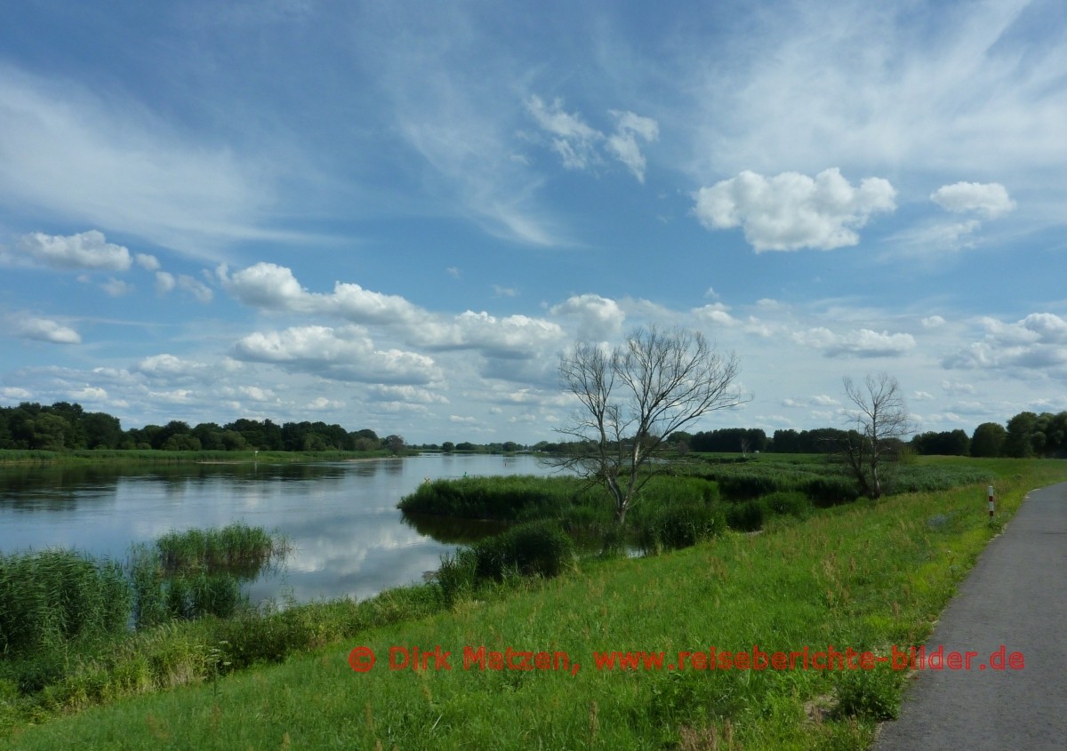 Oder-Neiße-Radweg, Oderbruch