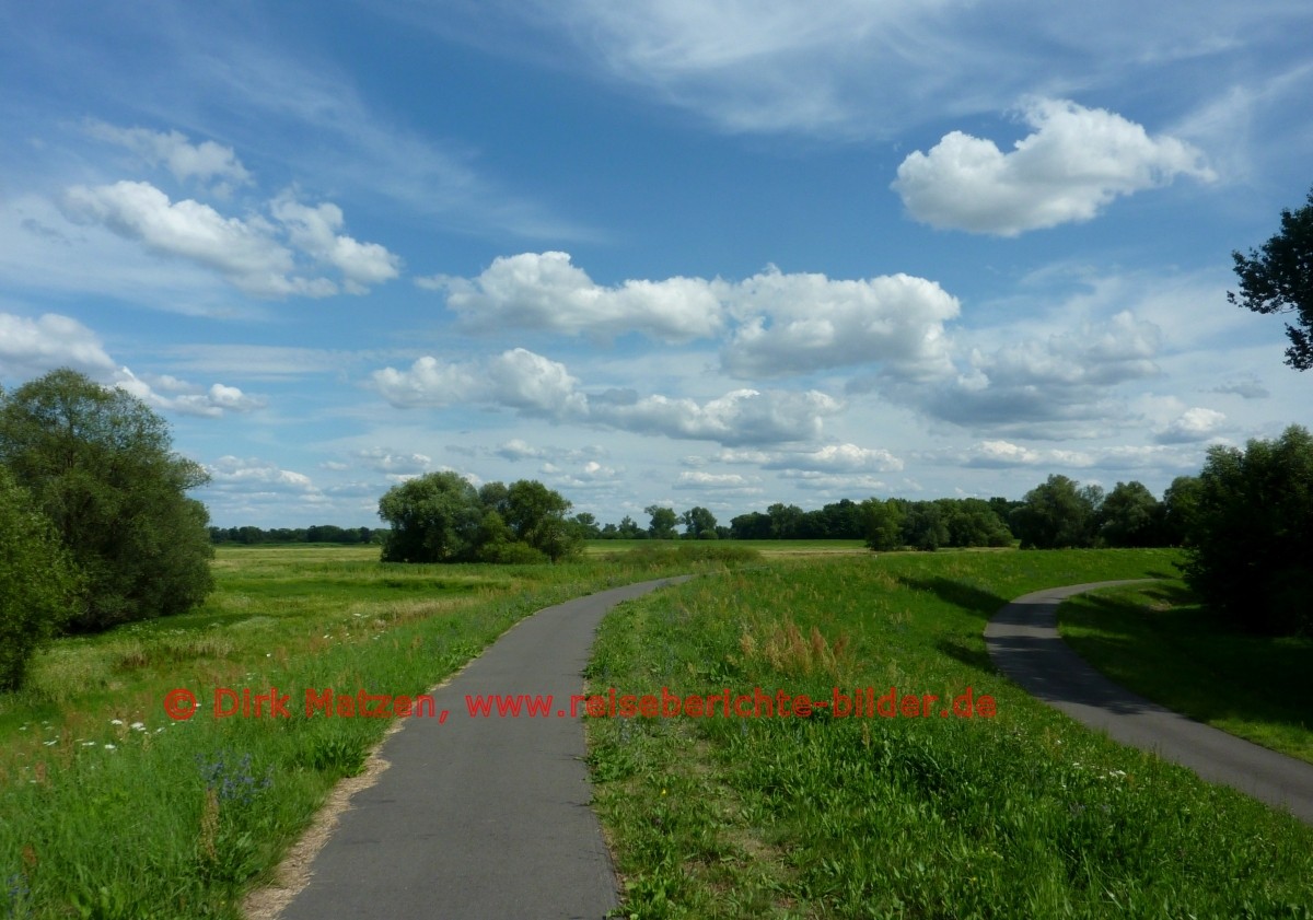 Oder-Neiße-Radweg, bei Kienitz