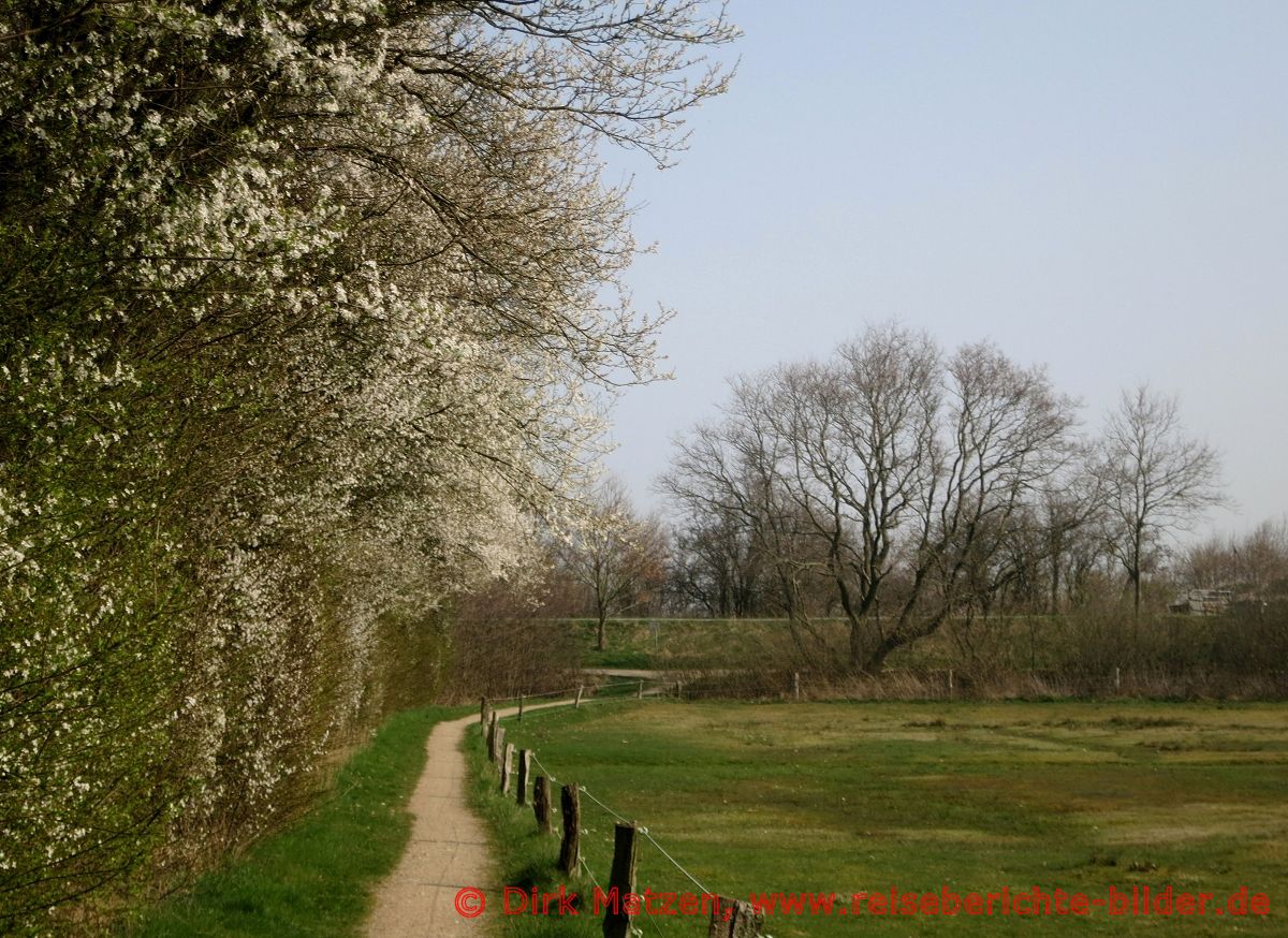 Sankt Peter-Dorf, Ortsrand