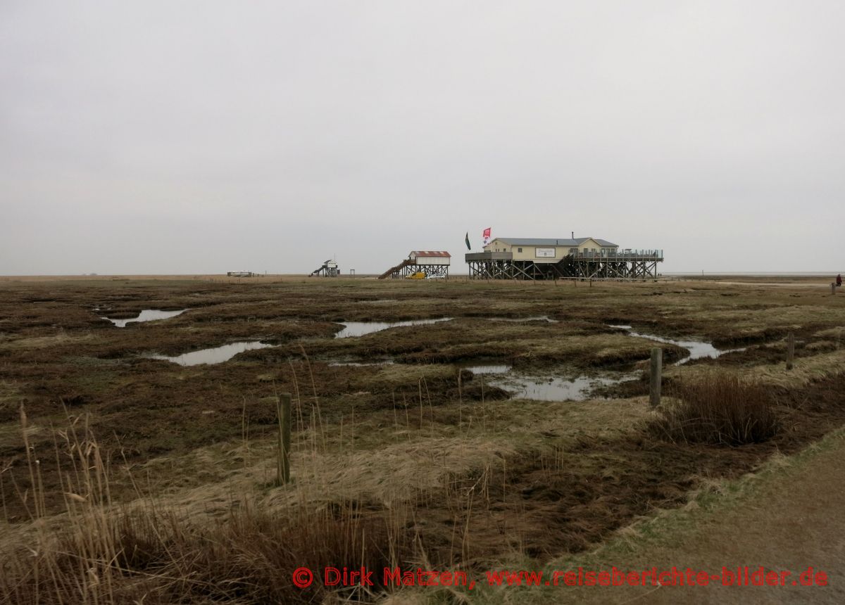 St. Peter-Ording, Salzwiesen, Pfahlbauten