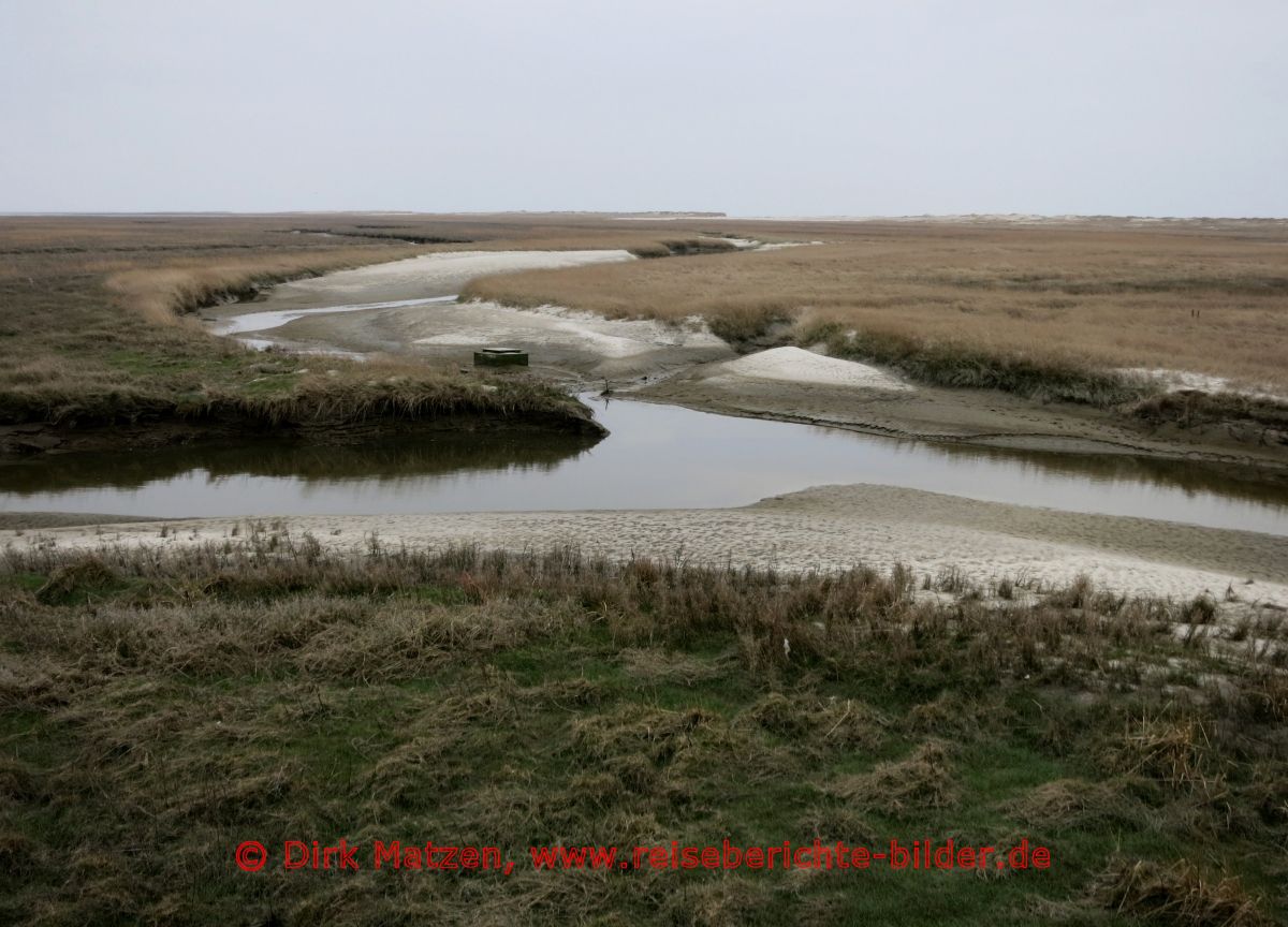St. Peter-Ording, Sandsalzwiesen