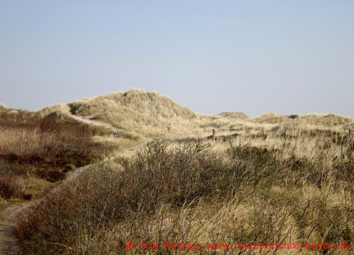 St. Peter-Ording, Dünen