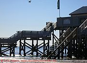 sankt-peter-ording-strandbar-im-wasser