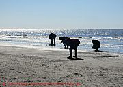 sankt-peter-ording-schatzsucher