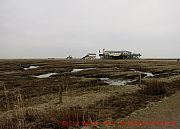 sankt-peter-ording-salzwiesen-pfahlbauten