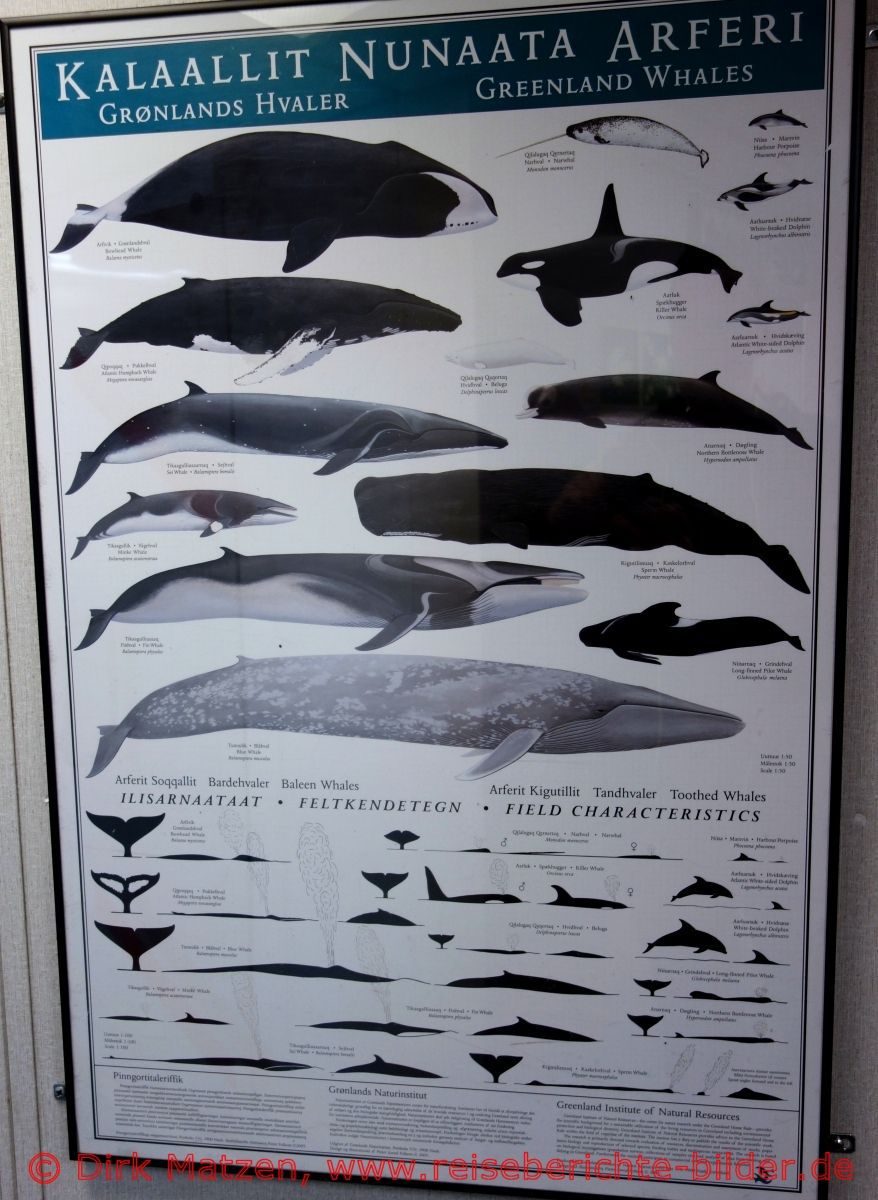 Sarfaq Ittuk, Poster Wale
