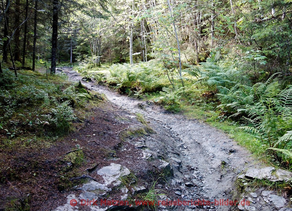 Trondheim, Wanderweg, Elster-Park