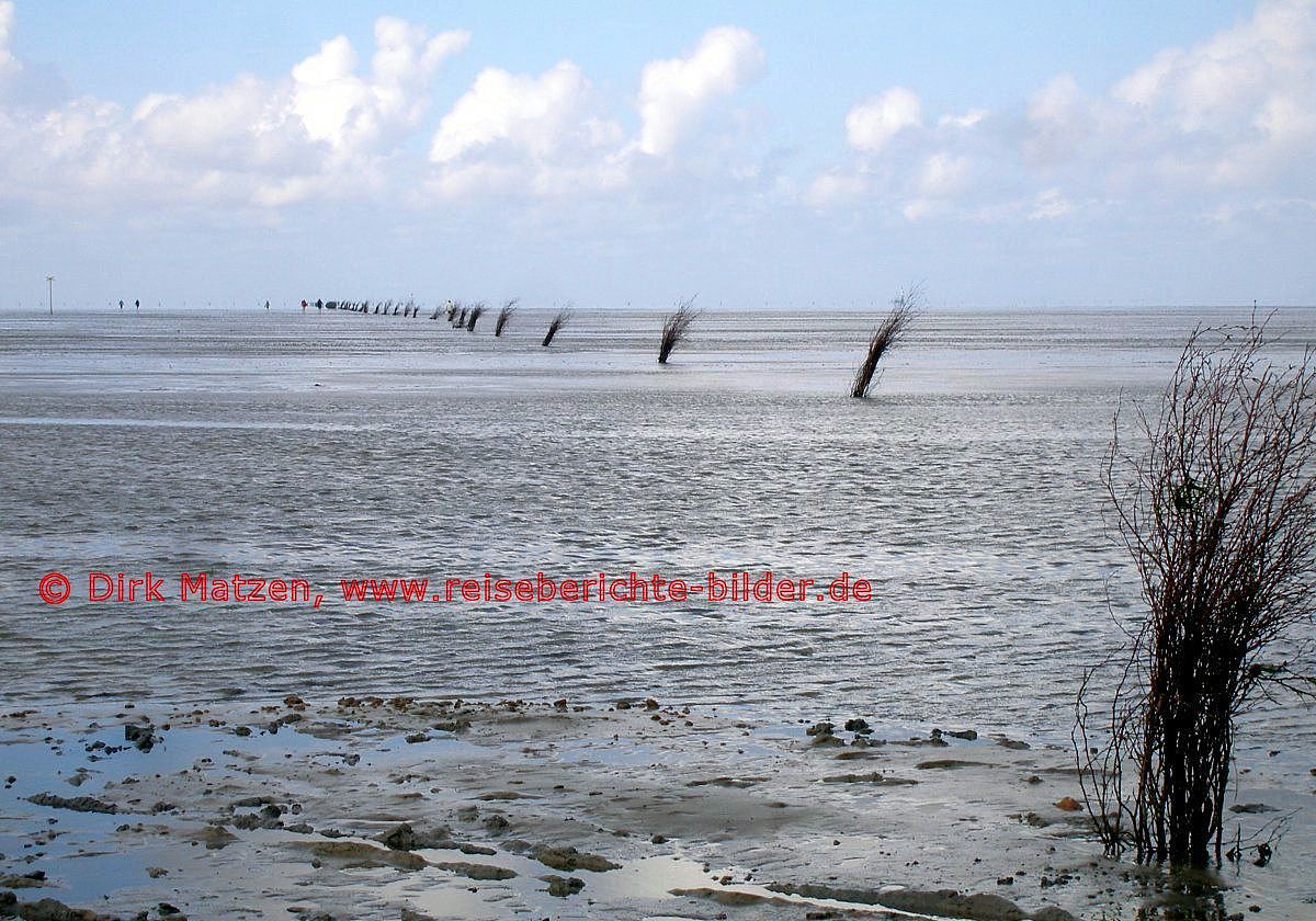 UNESCO Welterbe, Wattenmeer der Nordsee