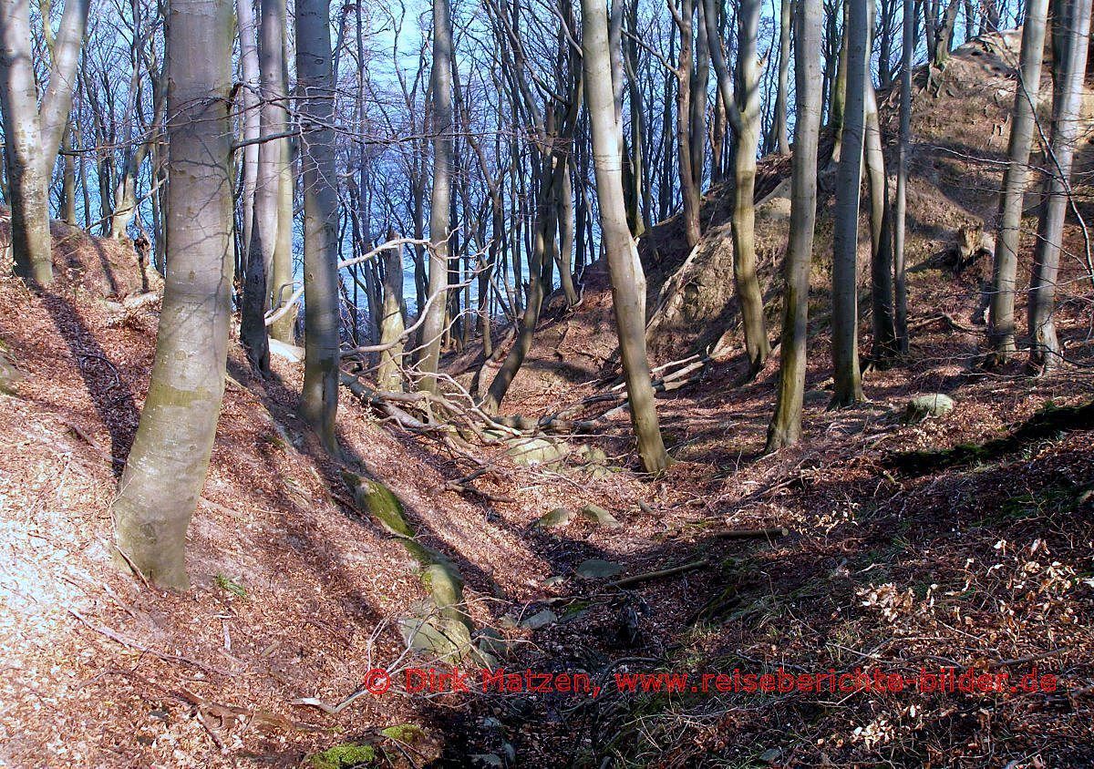 UNESCO Welterbe, Nationalpark Jasmund