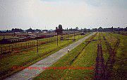 Auschwitz-Birkenau