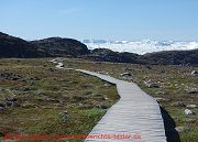 Ilulissat Eisfjord