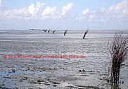 Nordsee Wattenmeer, Cuxhaven