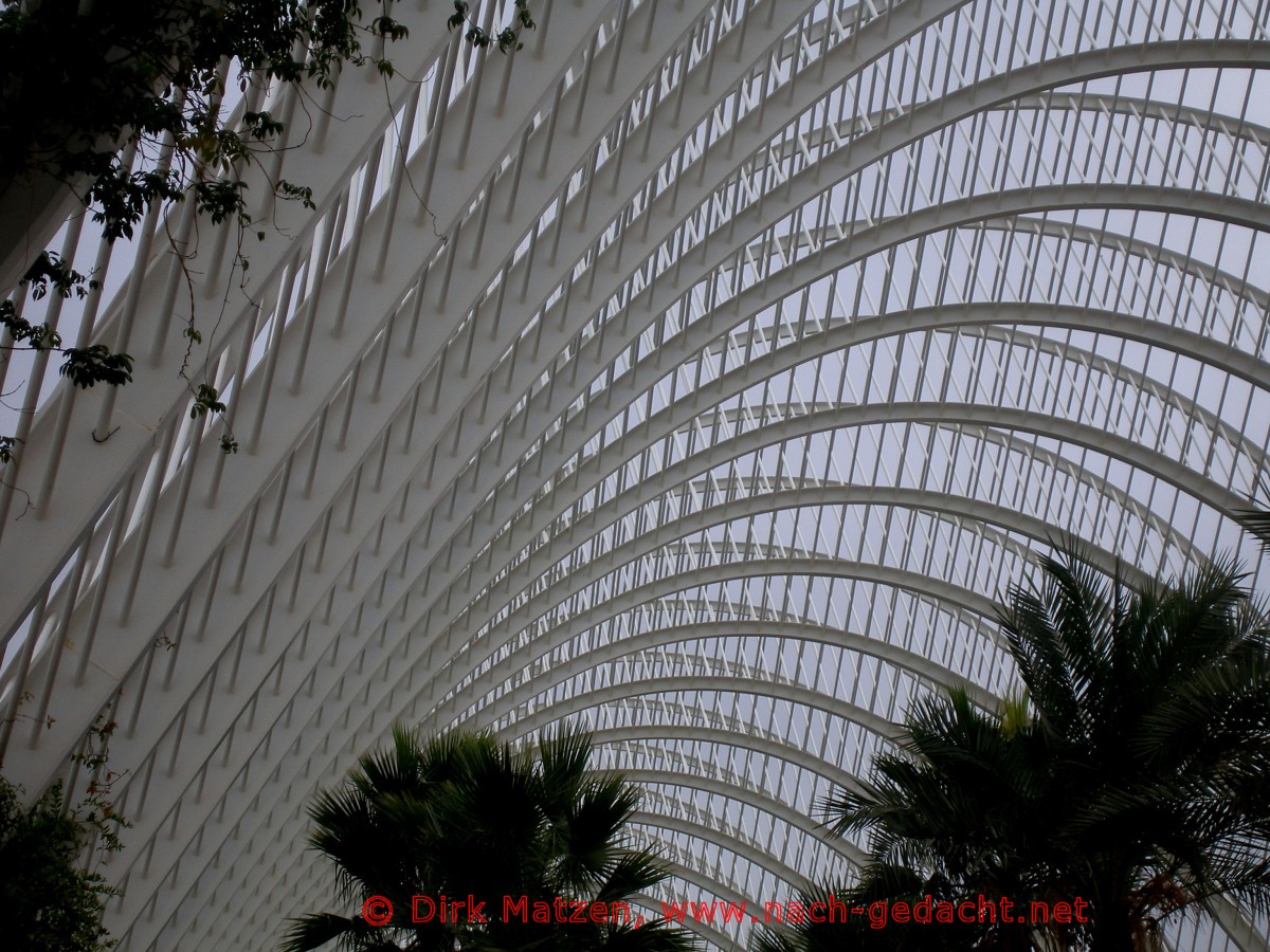 Valencia, Dach L'umbracle