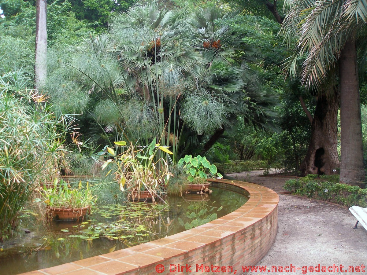 Valencia, im Botanischen Garten