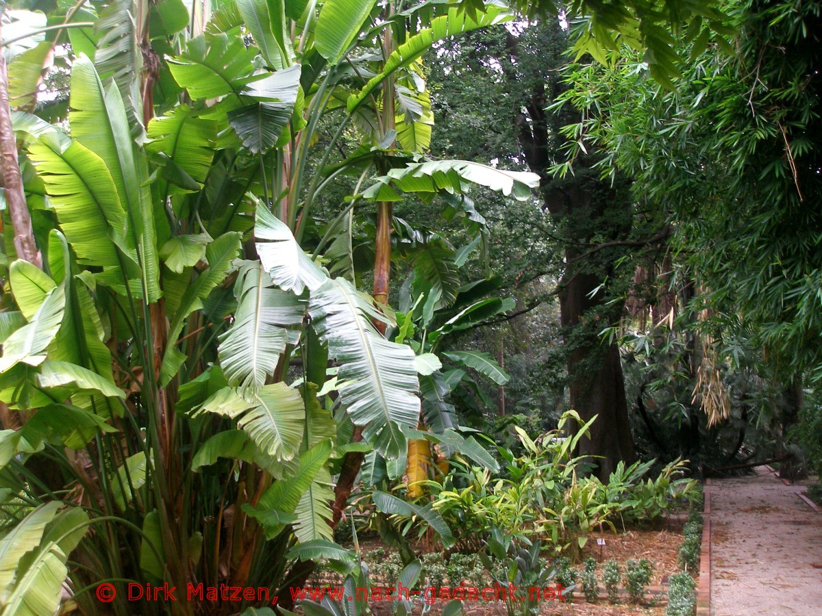 Valencia, Botanischer Garten